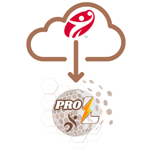 Wczytaj mecz po numerze